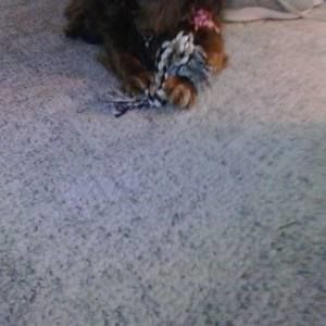 Meet your Posher, Becky